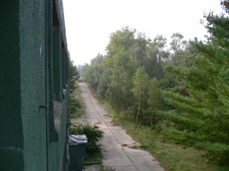 P1010595